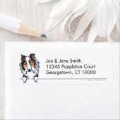 Blue Merle Sheltie Shetland Sheepdog Clean Simple Etiket (Insitu)