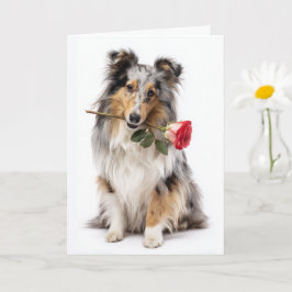 Blue Merle Sheltie Valentijn – Teder Devotie Kaart