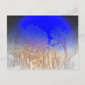 Blue Moon Baby Briefkaart (Voorkant)