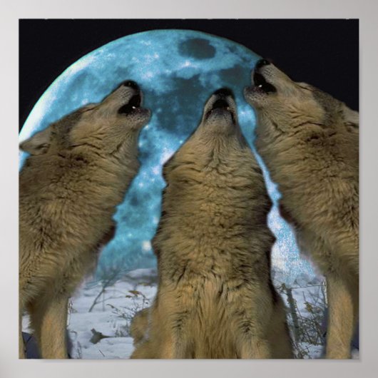 BLUE MOON WOLVES HOWLLING CANVAS PRINT (Voorkant)