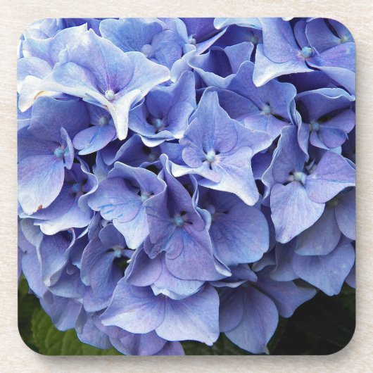 Blue Mophead Hydrangea Floral Bier Onderzetter (Voorkant)