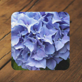 Blue Mophead Hydrangea Floral Bier Onderzetter