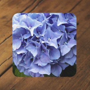 Blue Mophead Hydrangea Floral Bier Onderzetter