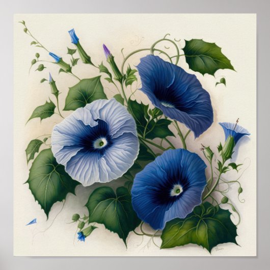 Blue Morning Glory Flowers Art Print Poster (Voorkant)