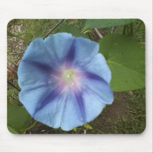 Blue Morning Glory Mousepad Muismat