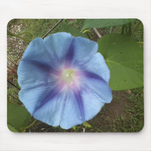 Blue Morning Glory Mousepad Muismat (Voorkant)
