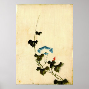 Blue Morning Glory Vine 1840 Poster