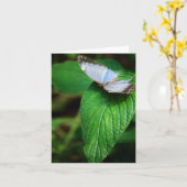 Blue Morpho 112 Kaart (Gele Bloem)