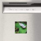 Blue Morpho 112 Magnet (Insitu (Vaatwasser))