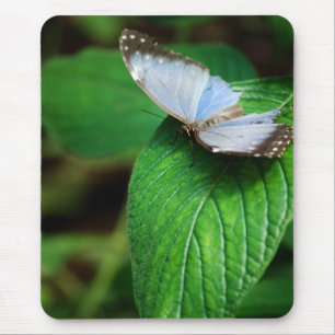 Blue Morpho 112 Mousepad Muismat