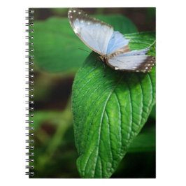 Blue Morpho 112 Notitieboek