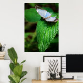 Blue Morpho 112 Print (Thuiskantoor)