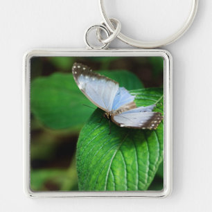 Blue Morpho 112 Sleutelhanger