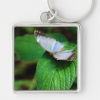 Blue Morpho 112 Sleutelhanger