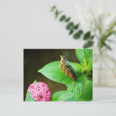 Blue Morpho 143 Briefkaart (Staand voorkant)