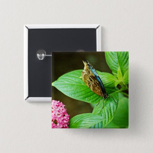 Blue Morpho 143 Button (Voorkant /achterkant)