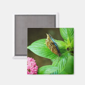 Blue Morpho 143 Magnet (Voorkant / Achterkant)