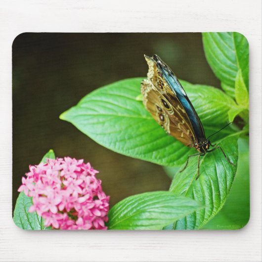 Blue Morpho 143 Mousepad Muismat (Voorkant)