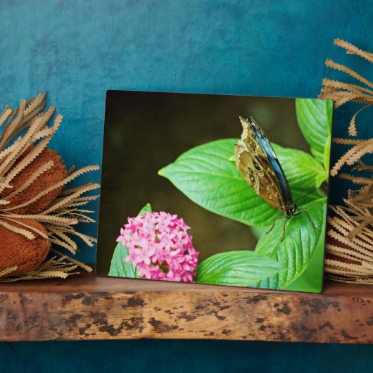 Blue Morpho 143 Plaque Fotoplaat (Zijkant)