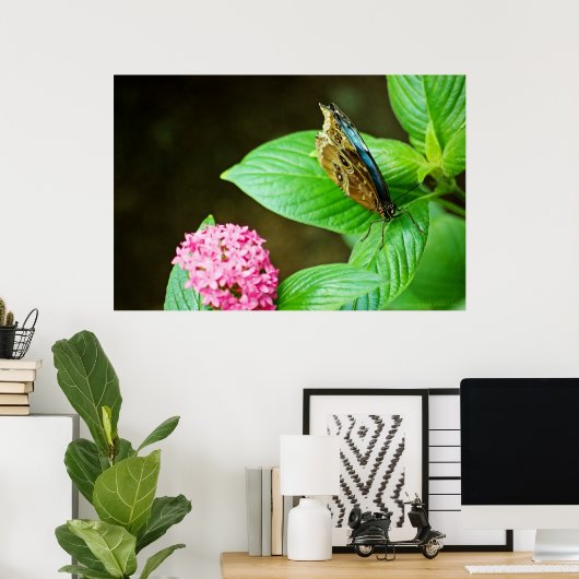 Blue Morpho 143 Print (Thuiskantoor)