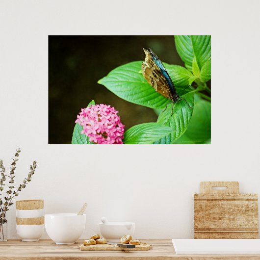 Blue Morpho 143 Print (Keuken)