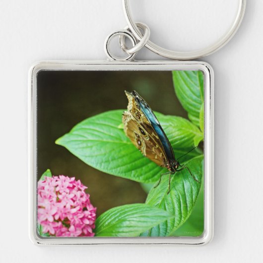 Blue Morpho 143 Sleutelhanger (Voorkant)