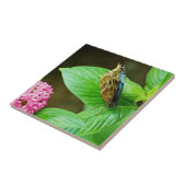 Blue Morpho 143 Tegel Tegeltje (Zijkant)