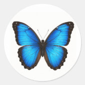 Blue Morpho Brilliance Ronde Sticker (Voorkant)