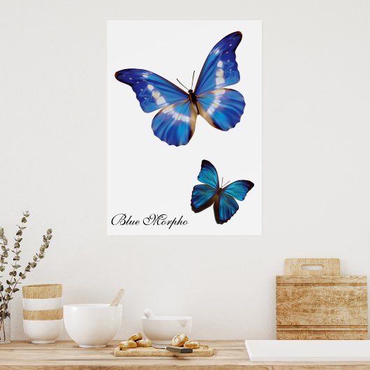 Blue Morpho Butterflies Poster (Keuken)