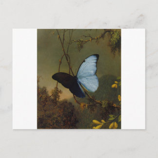 Blue Morpho Butterfly 1865 Spring Personalize Art Briefkaart