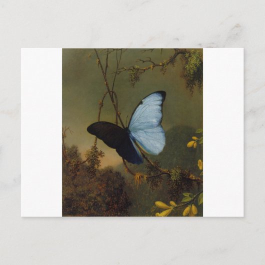 Blue Morpho Butterfly 1865 Spring Personalize Art Briefkaart (Voorkant)