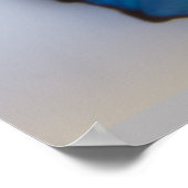 Blue Morpho Butterfly beide zijden Poster (Hoek)