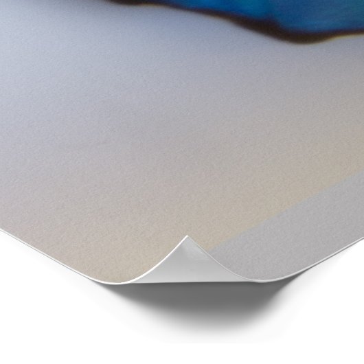 Blue Morpho Butterfly beide zijden Poster (Hoek)