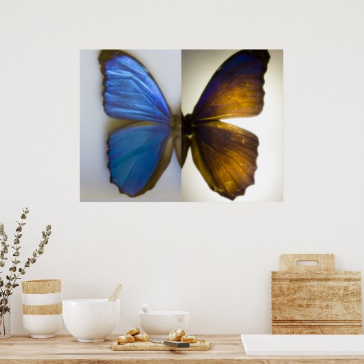 Blue Morpho Butterfly beide zijden Poster (Keuken)