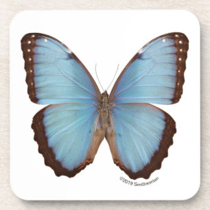 Blue Morpho Butterfly Bier Onderzetter