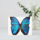 Blue Morpho Butterfly Briefkaart (Staand voorkant)
