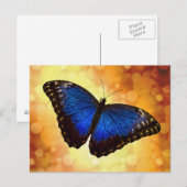 Blue Morpho Butterfly Briefkaart (Voorkant / Achterkant)