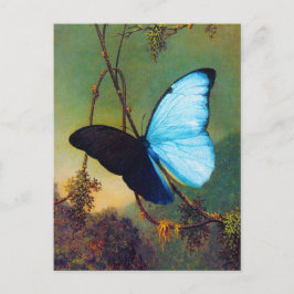 Blue Morpho Butterfly Briefkaart