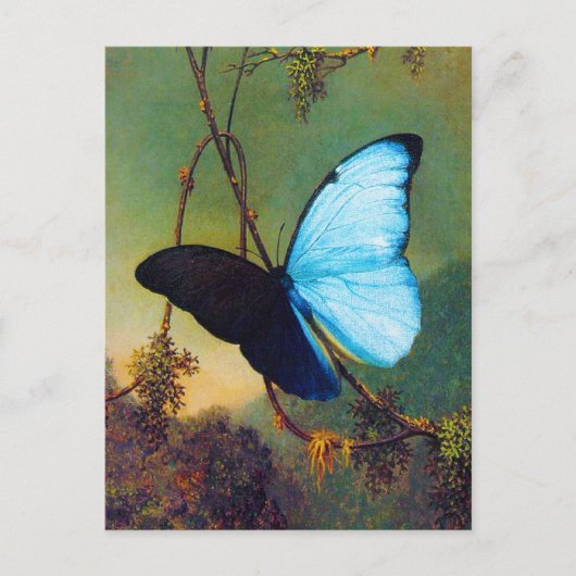 Blue Morpho Butterfly Briefkaart (Voorkant)