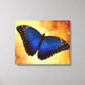 Blue Morpho Butterfly Canvas Afdruk (Voorkant)