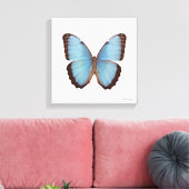 Blue Morpho Butterfly Canvas Afdruk (Insitu (Woonkamer))