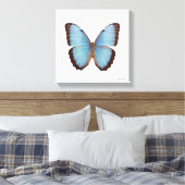 Blue Morpho Butterfly Canvas Afdruk (Insitu (Slaapkamer))