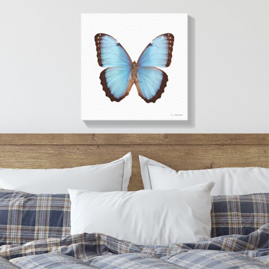 Blue Morpho Butterfly Canvas Afdruk (Insitu (Slaapkamer))