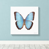 Blue Morpho Butterfly Canvas Afdruk (Insitu (Houten vloer))