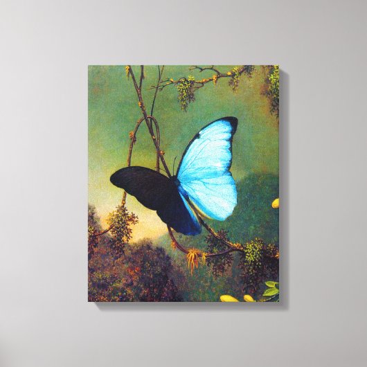 Blue Morpho Butterfly Canvas Afdruk (Voorkant)