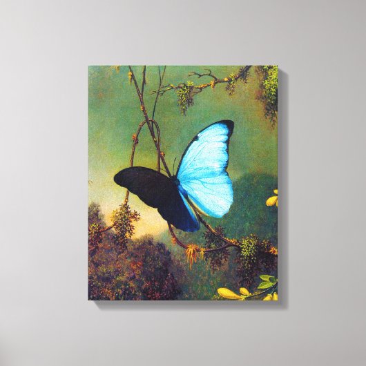 Blue Morpho Butterfly Canvas Afdruk (Voorkant)