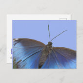 Blue Morpho Butterfly DIY Briefkaart (Voorkant / Achterkant)