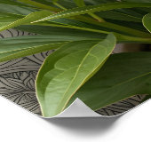 Blue Morpho Butterfly Floral Botanical Art  Poste Poster (Hoek)