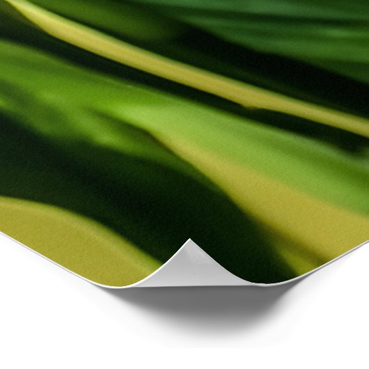 Blue Morpho Butterfly Floral Nature Art Poster (Hoek)