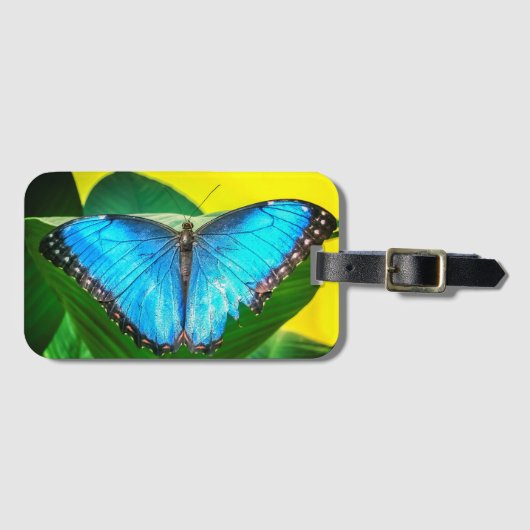 Blue Morpho Butterfly Floral Natuur Art Bagagelabel (Voorkant (horizontaal))